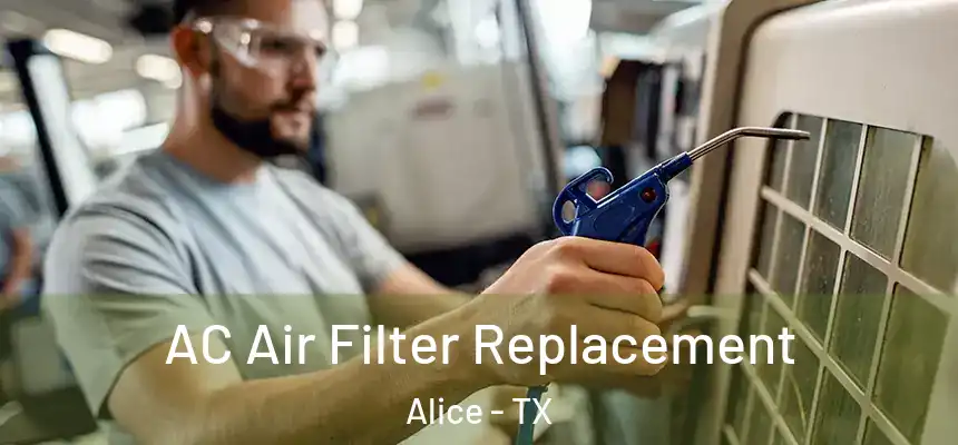 AC Air Filter Replacement Alice - TX