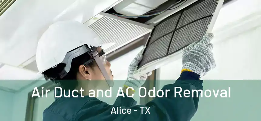  Air Duct and AC Odor Removal Alice - TX