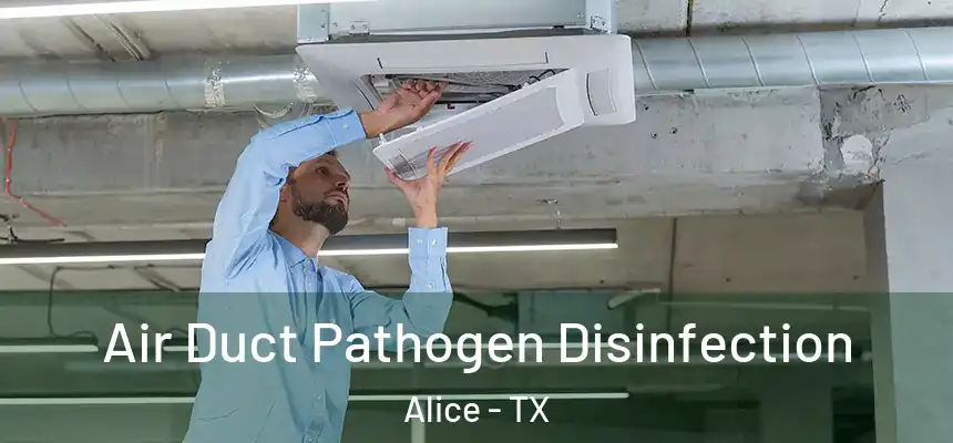 Air Duct Pathogen Disinfection Alice - TX
