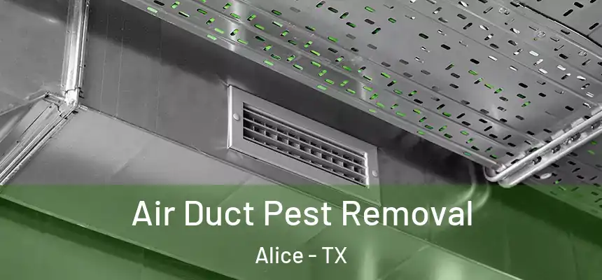 Air Duct Pest Removal Alice - TX
