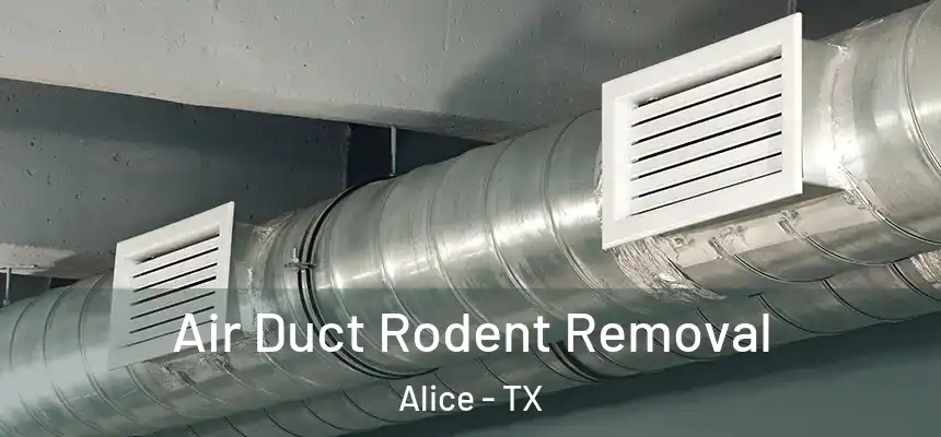  Air Duct Rodent Removal Alice - TX