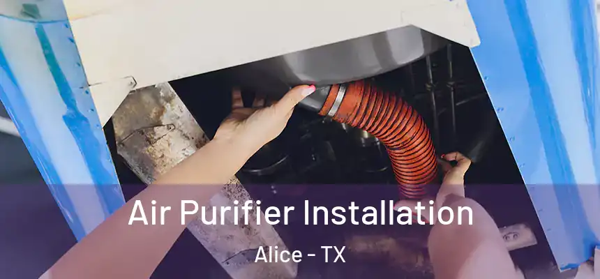  Air Purifier Installation Alice - TX