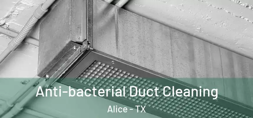  Anti-bacterial Duct Cleaning Alice - TX