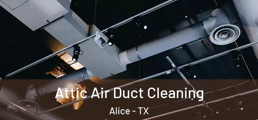  Attic Air Duct Cleaning Alice - TX