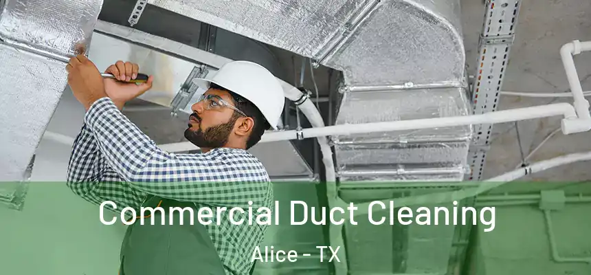 Commercial Duct Cleaning Alice - TX
