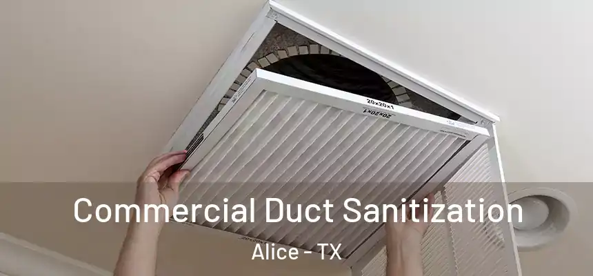 Commercial Duct Sanitization Alice - TX