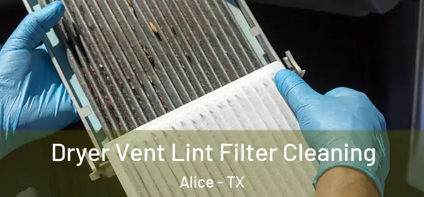 Dryer Vent Lint Filter Cleaning Alice - TX
