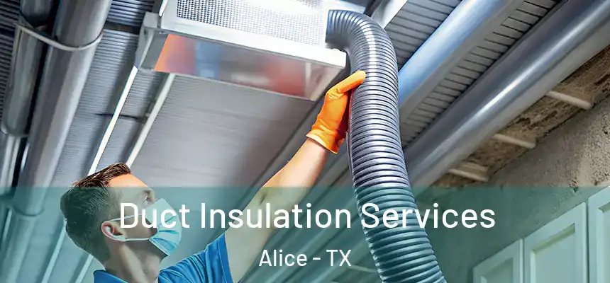 Duct Insulation Services Alice - TX