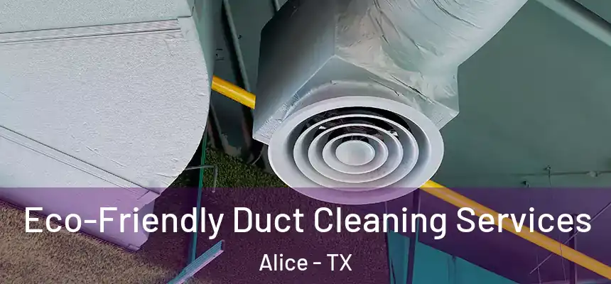  Eco-Friendly Duct Cleaning Services Alice - TX