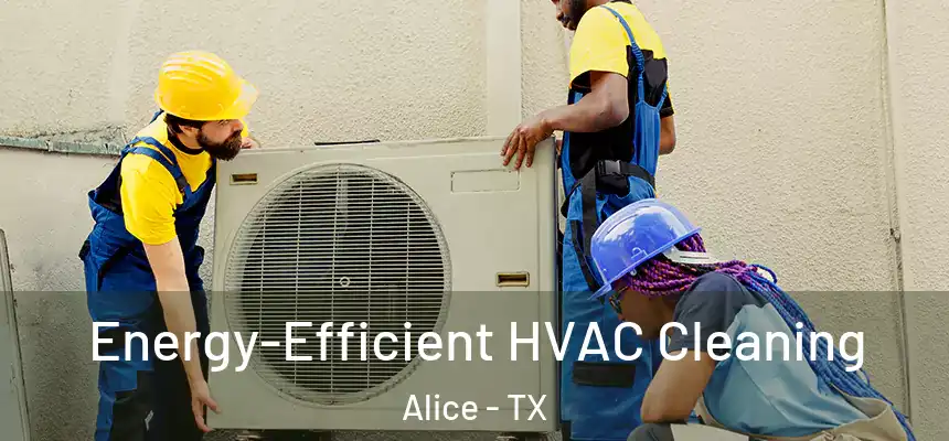  Energy-Efficient HVAC Cleaning Alice - TX