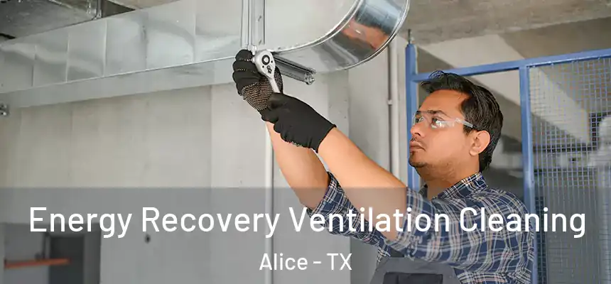  Energy Recovery Ventilation Cleaning Alice - TX