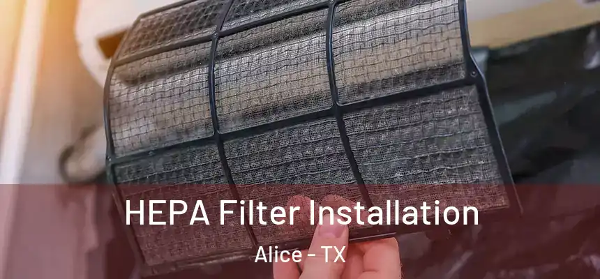 HEPA Filter Installation Alice - TX