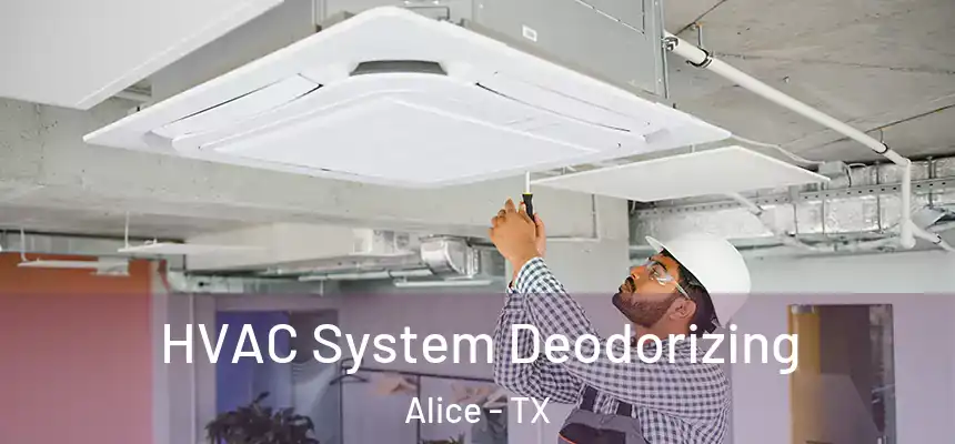 HVAC System Deodorizing Alice - TX