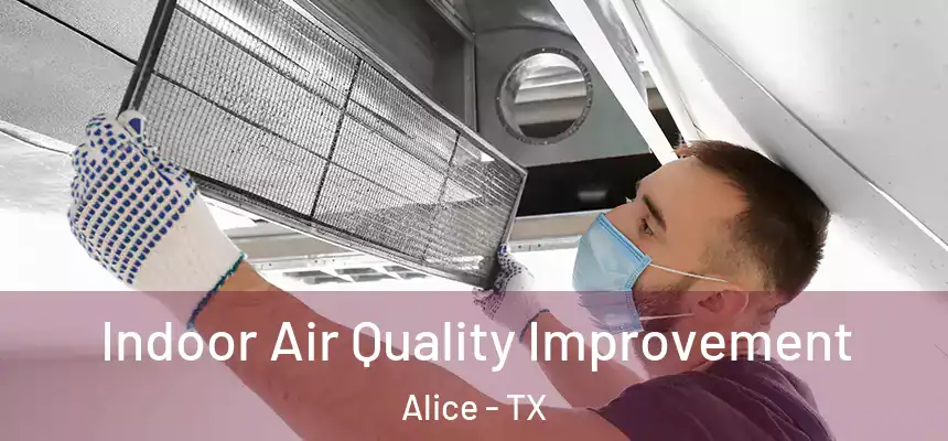 Indoor Air Quality Improvement Alice - TX