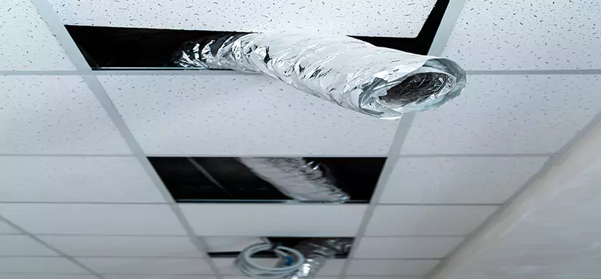 Affordable HVAC Sanitizing After Pest Removal in Alice