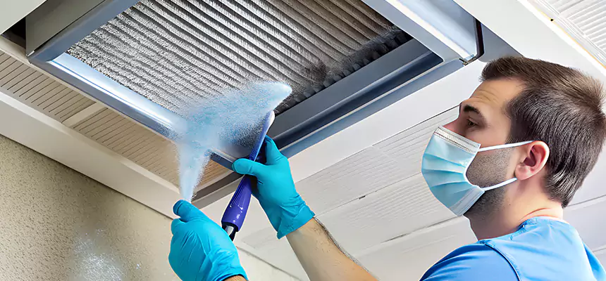 Proactive Dryer Vent & Auxiliary Duct Pollen Cleanup in Alice, TX