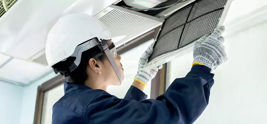 Our Mold & Mildew Removal from Air Ducts Services in Alice, TX