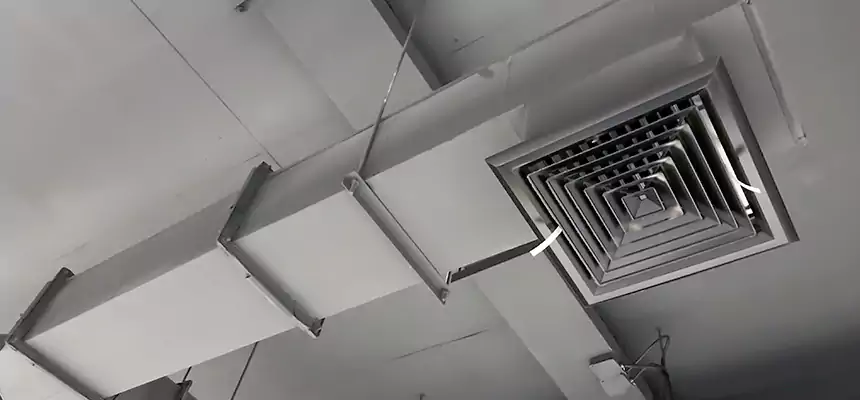 Our Rodent Droppings In Vents Services in Alice, TX