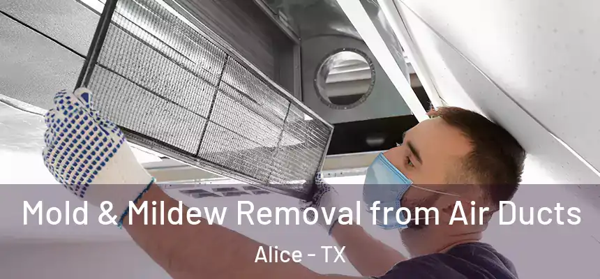 Mold & Mildew Removal from Air Ducts Alice - TX