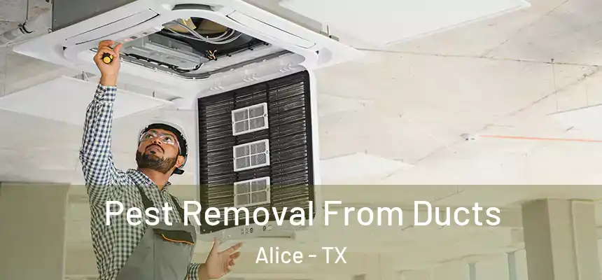 Pest Removal From Ducts Alice - TX