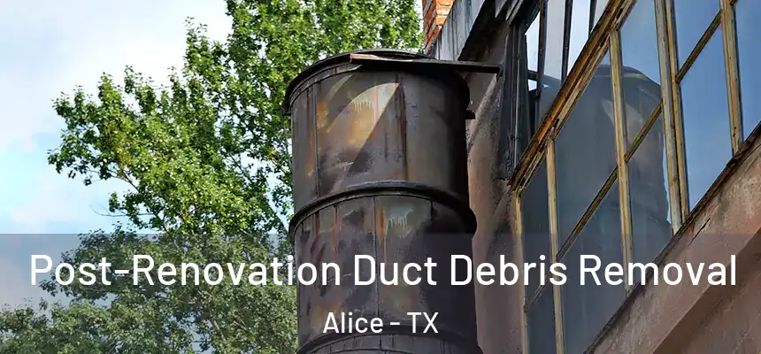 Post-Renovation Duct Debris Removal Alice - TX