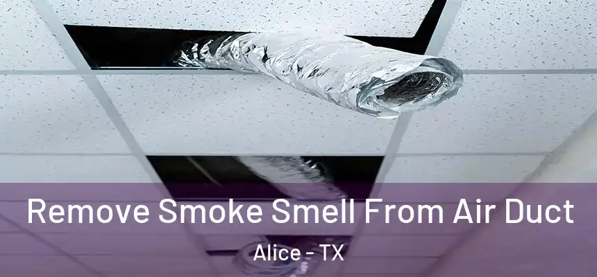  Remove Smoke Smell From Air Duct Alice - TX