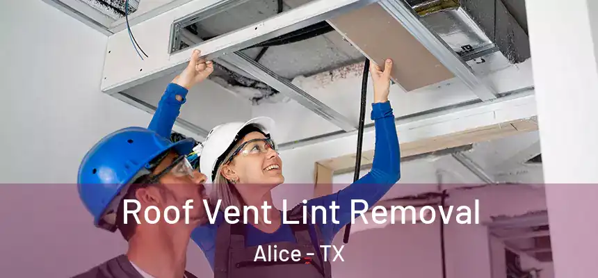  Roof Vent Lint Removal Alice - TX