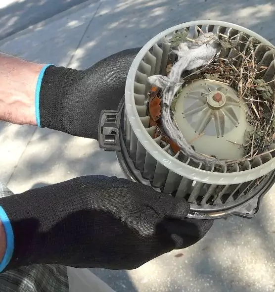 About Air Duct Mice Removal in Alice, TX