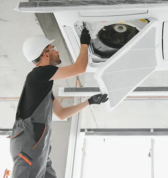 About Air Duct Rodent Removal in Alice, TX