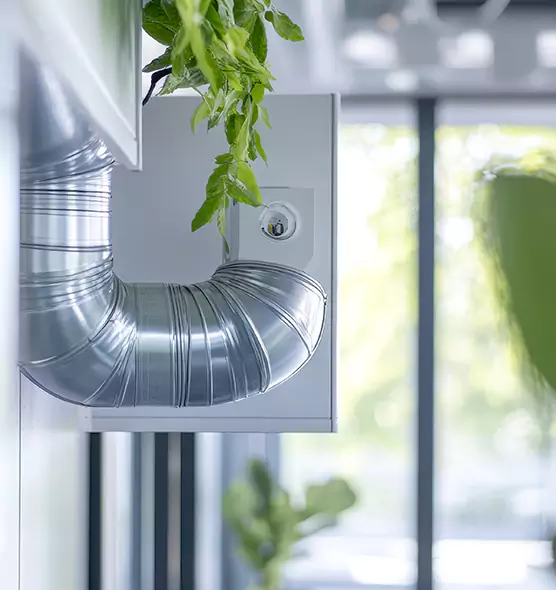 Professional Eco-Friendly Duct Cleaning Services in Alice, TX