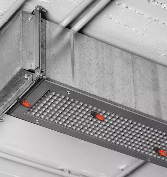 Affordable Insect Removal from Air Ducts in Alice, TX