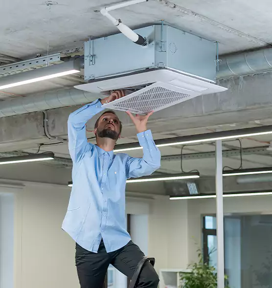 Advanced Rodent Droppings In Vents in Alice, TX