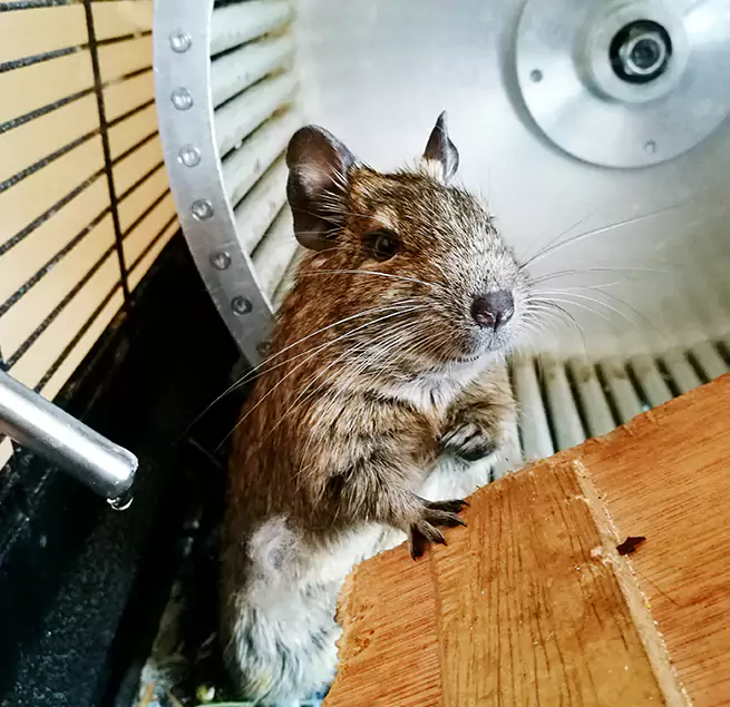 Why Homeowners & Businesses Trust Us Alice, TX?