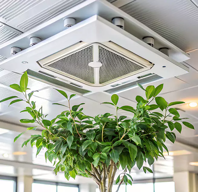 Why Homeowners & Businesses Trust Us in Alice, TX