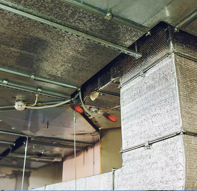 Why Homeowners & Businesses Trust Us Alice, TX?