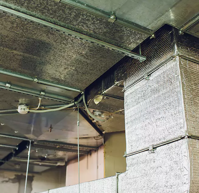 Why Homeowners & Businesses Trust Us in Alice, TX?