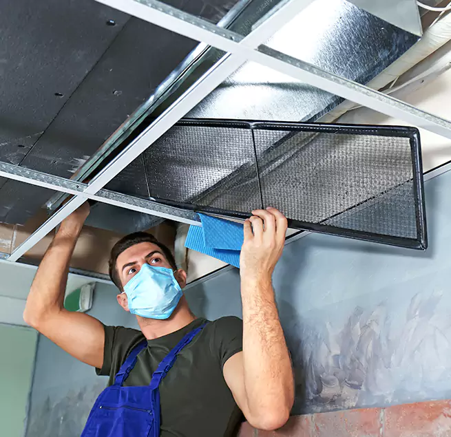 Why Homeowners Businesses Trust Us in Alice, TX?