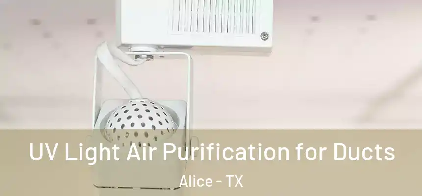 UV Light Air Purification for Ducts Alice - TX